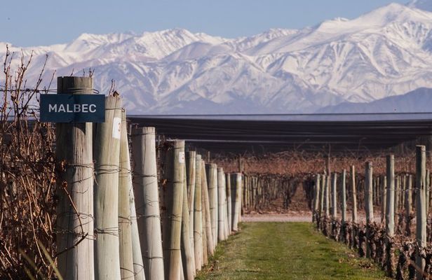 6 Days Mendoza Private Guided Tour