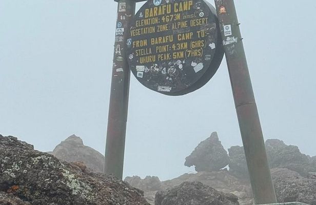 7-Day Kilimanjaro Machame Route Trek – Summit Mount Kilimanjaro.