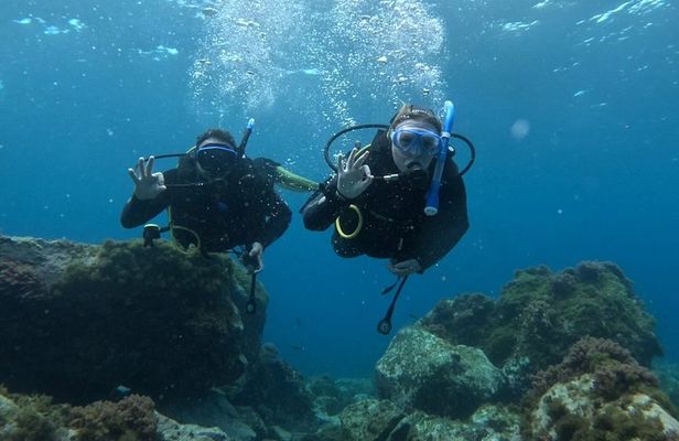 Playa Blanca Discover Scuba Diving at Flamingo Beach free videos