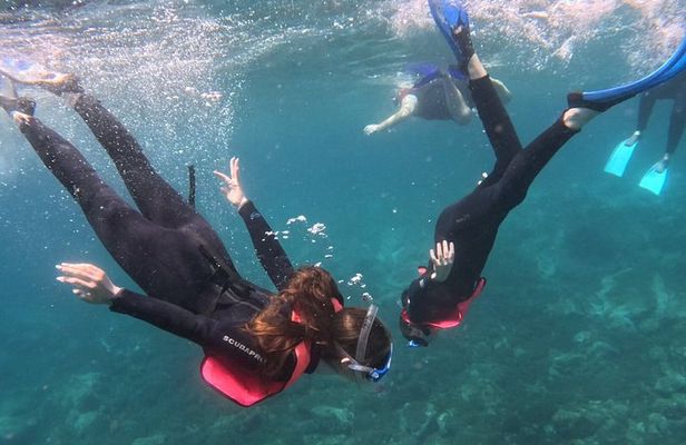 Playa Blanca Snorkeling Experience + free videos