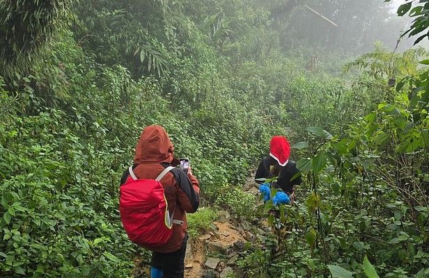 Sapa 2 Days Mountain to Village Trek Hmong and Red Dao Homestay