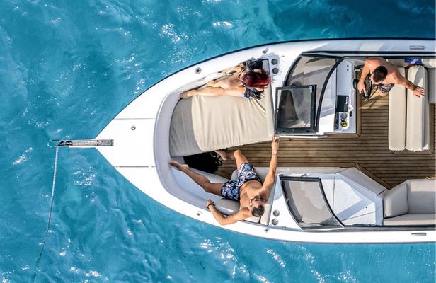 Guided Speedboat Tour with Organic Food, Oil & Wine Tasting