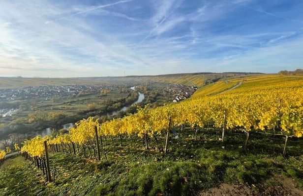Autumn wine hike to the terroir f in Volkach