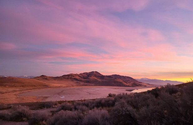 Great Salt Lake Sunset Safari Tour