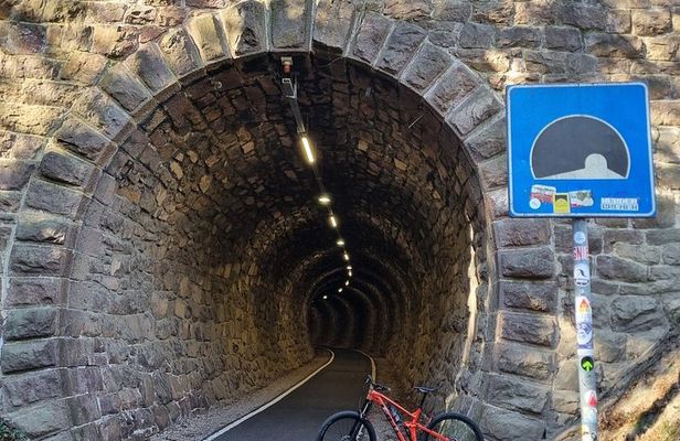 Bolzano Vineyards and Lakes MTB or eBike Tour