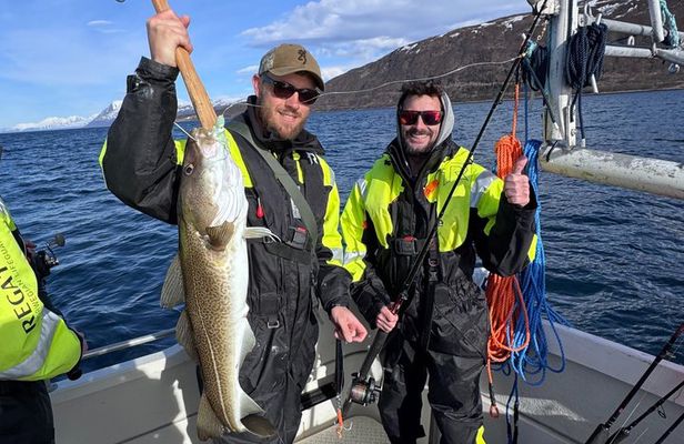 Private Fishing Tour Tromso Cabin Boat