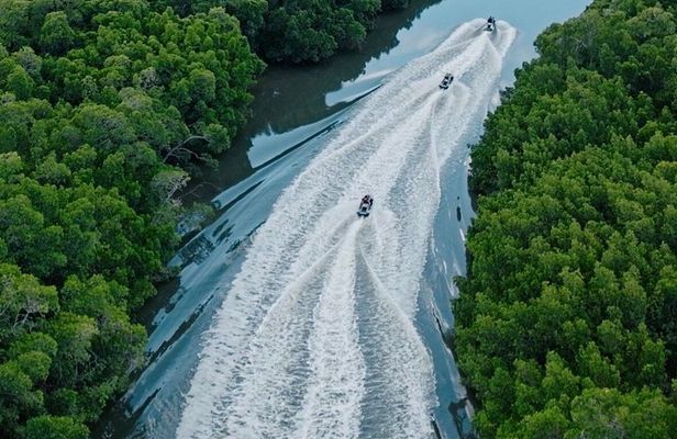 1.5 Hour Cairns JetSki Coastline Tour to Palm Cove