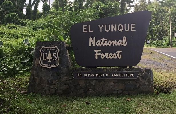The Royal Rainforest An Exclusive Extreme Experience El Yunque