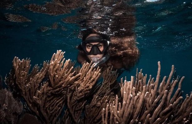 Roatan Private and Public Snorkel Tours at West Bay Beach