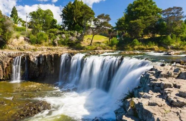 Glowworm Caves & Waterfalls Guided Tour in Bay of Islands