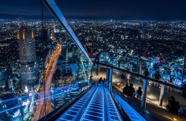 Shibuya Night Tour Neon Streets and Panoramic Views