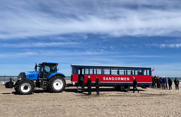 Skagen Private Half Day Tour from Cruise Port