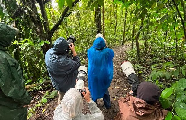 Birding and Photography Tour