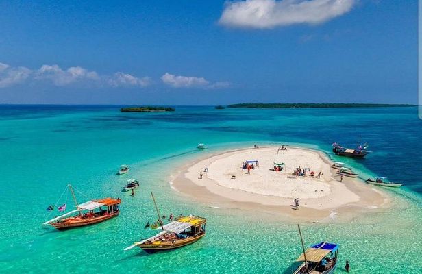 Dolphin Snorkeling and Pungume Island with Lunch and Transfer