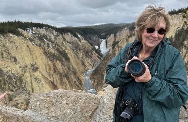 Yellowstone Upper Loop Wildlife Tour in Lamar Valley Bozeman