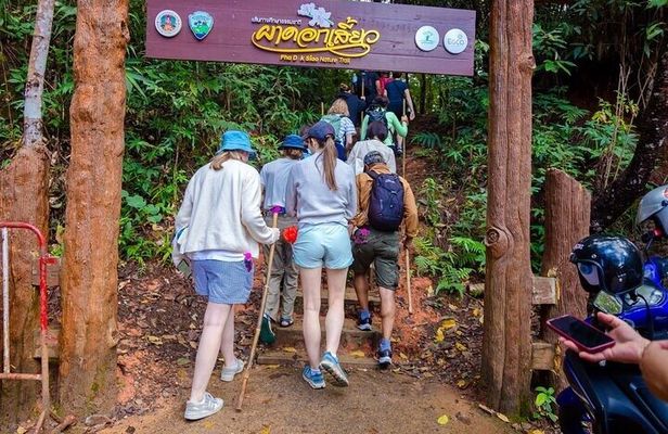 Doi Inthanon Trekking Tour with Kew Mae Pan or Pha Dok Siew