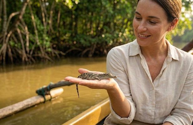 Private Bentota River Safari Boat Tour