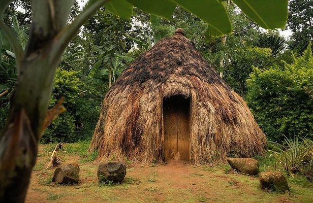 Materuni Waterfall, Coffee Ceremony &Chagga Culture Half-Day Tour
