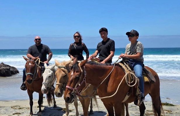Horseback riding on the beach Rosarito + Transportation