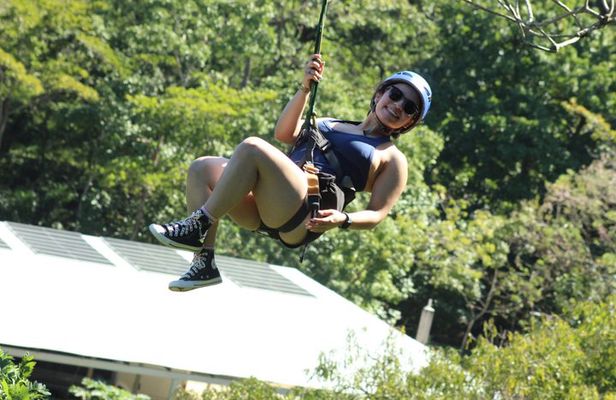 Roatan Combo: Zipline, Monkey & Sloth Sanctuary & Beach Break