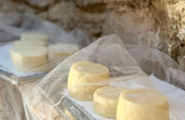 Rethymno Farm Life Experience with Raki and Cheese Making