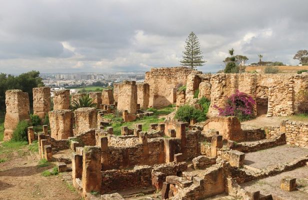 Shared Guided Tour from La Goulette Tunisia to Tunis and Carthage