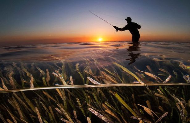 Roatan Deep Sea Fishing and Flats Fishing Adventures and Charters