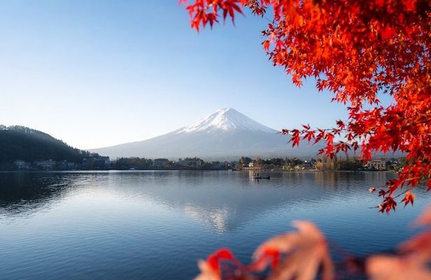 Mt Fuji Private One-Day Tour by Chartered Vehicle from Tokyo