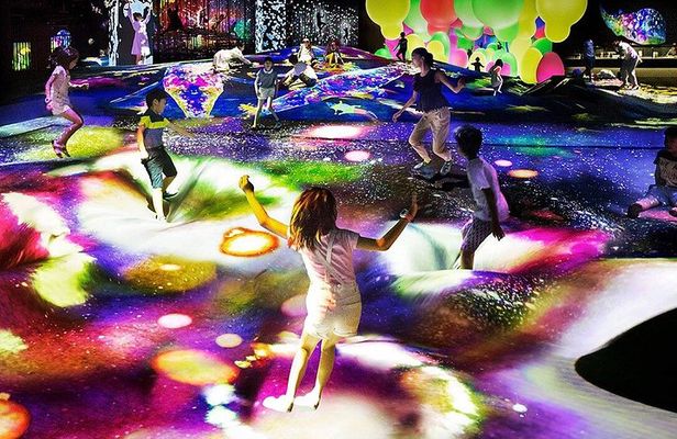 Tokyo TeamLab Borderless Ticket with Optional Private Transfer