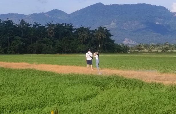 Balik Pulau Bicycle Tour
