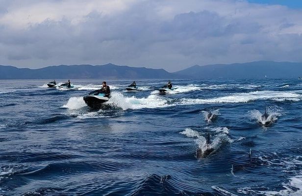 Guided Dolphin Jet Ski Adventure | Long Beach to Catalina Island