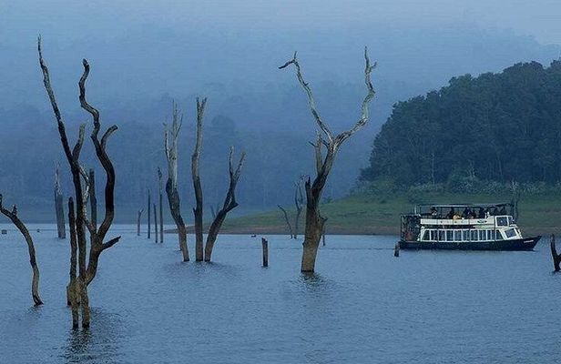 Thekkady Jeep safari and National Park Tour with Tea Tasting