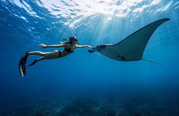 Bali Nusa Penida Snorkeling with Manta Rays and Island Tour