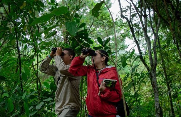 Munduk Twin Lake Jungle Trek with Sacred Forest Temples&Canoeing