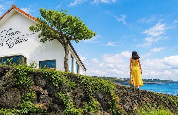 Jeju UNESCO West South and East Highlights 2 Days Combo Tour