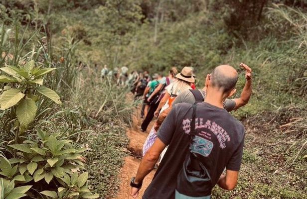 Materuni Waterfall Hike & Authentic Chagga Coffee Lunch