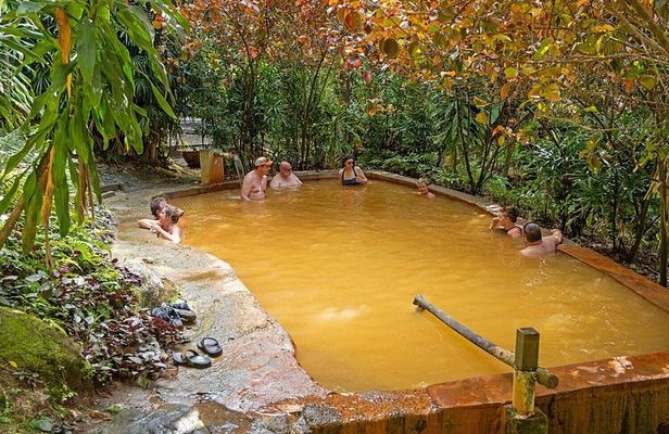 VIP All Inclusive Majestic Experience:W/falls Sulphur spa & Beach
