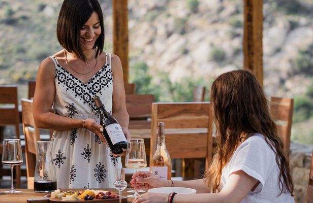 Vineyard Tour & Wine Tasting - Estate L’Heritage Korres YASTRA