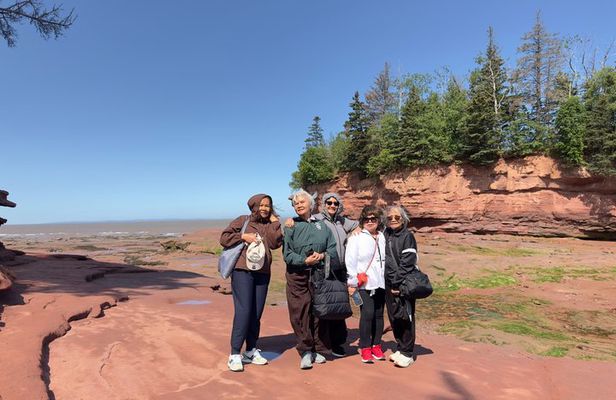 Private Bay of Fundy Tour: Walk the Ocean Floor at Burntcoat Head