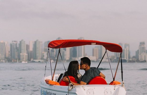 Dog friendly San Diego Electric Boat Rental in San Diego Bay