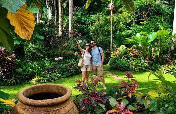Hunte's Gardens Barbados Half Day Excursion
