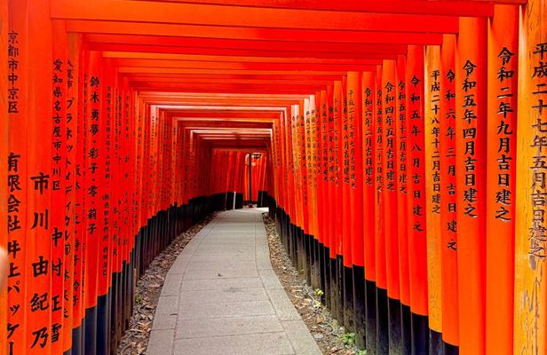 Kyoto&Nara Day Tour | English Guide & Private Vehicle