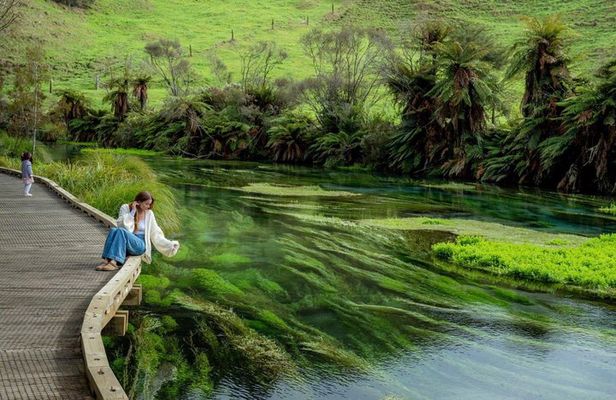 From Hamilton Waitomo Glowworms Blue Springs and Kiwi House