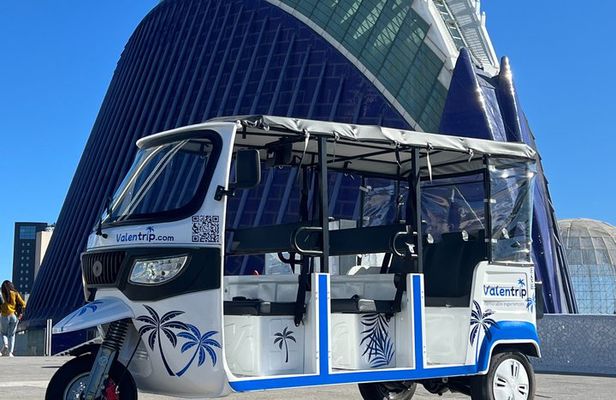 Tour Tuk Tuk Valencia 2h Discover History and Modernity
