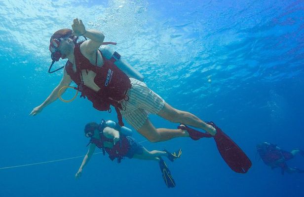 CWORI Dive Center: Try Scuba Diving Experience at Coki Beach