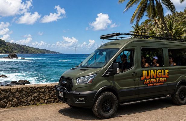 Private Open-Air Road to Hana Tour 6 hour (max 14 guests)