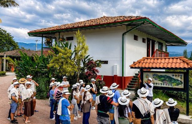 Coffee Tour at the Finca del Café