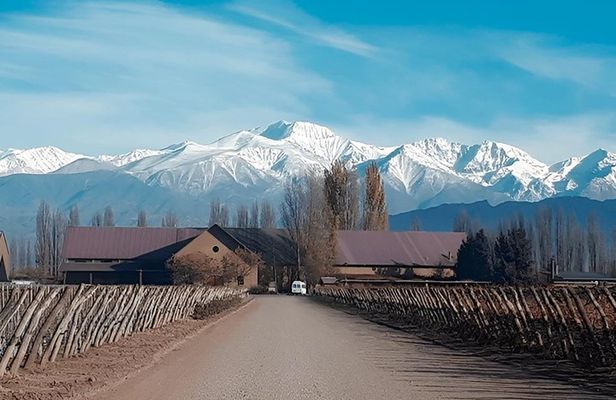 Wine Experience in Mendoza Half Day in Maipu and Lujan