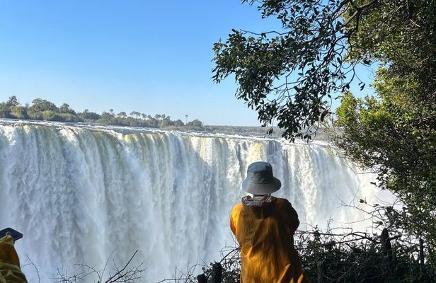 Guided Tour of Victoria Falls with Local Guide
