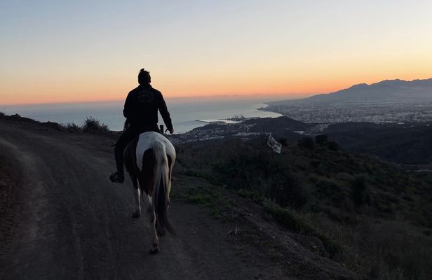 Horseback Riding Tour of Malaga Natural Park